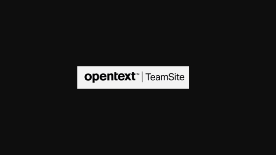 What is HP Autonomy Interwoven TeamSite?
