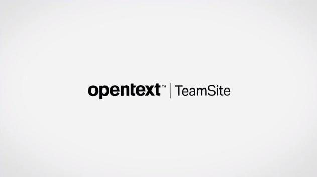 Autonomy Interwoven Teamsite Development
